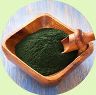 Spirulina