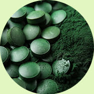 Chlorella